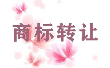 上海商標(biāo)與版權(quán)代理全攻略 保護創(chuàng)意從注冊開始